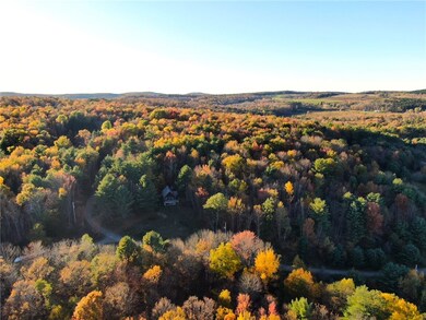 260 Log Cabin Ln, South New Berlin, NY 13843 - photo 6