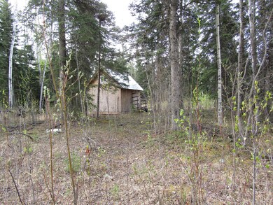 TR C-3 Tanana Loop Ext 004