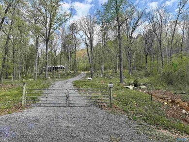 405 Stewart Hollow Rd, Grant, AL 35747 - photo 3