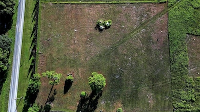 0 Ranch Gate Blvd unit MFRO6343065, Umatilla, FL 32784 - photo 7