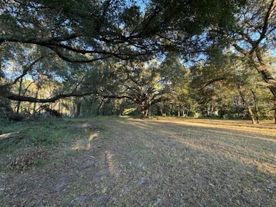 5005 SW 63rd Blvd, Gainesville, FL 32608 - photo 2