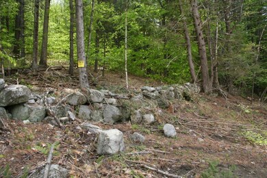 Stone wall rear boundary