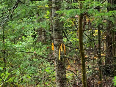 0 Moose Trail Rd unit 4884195, Bethlehem, NH 03574 - photo 3