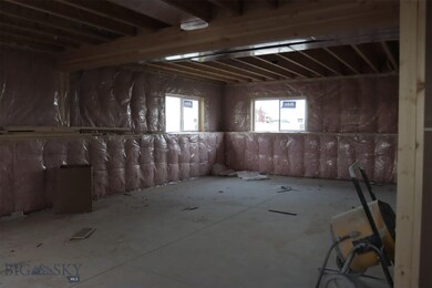 Unfinished Basement