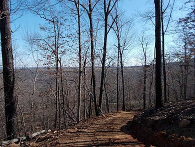20 Acres Low Gap Rd, West Fork, AR 72774 - photo 7