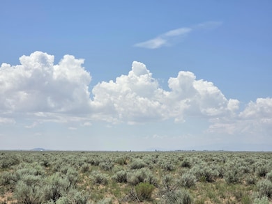 VL Rge Lot 27 Block 360 unit 17, Rio Communities, NM 87002 - photo 4