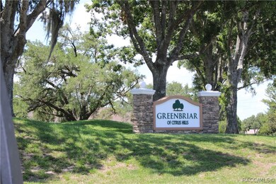 333 E Hartford St unit 1A, Hernando, FL 34442 - photo 5