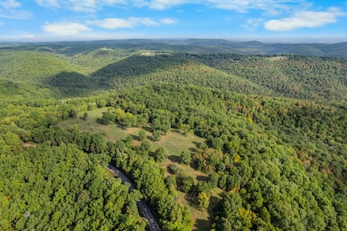 000 Pine Top Rd, Hollister, MO 65672 - photo 4