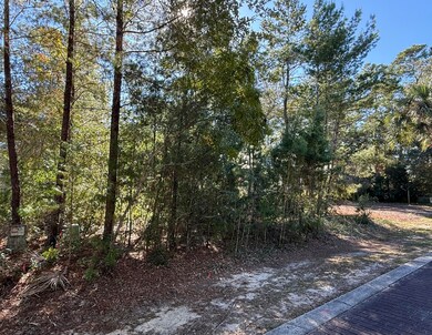 TBD Riker Ave, Santa Rosa Beach, FL 32459 - photo 4