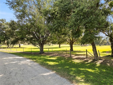 1828 Gator Creek Ranch Rd, Lakeland, FL 33809 - photo 6