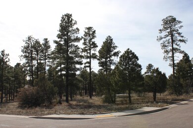 200 W Pine Haven Cir, Show Low, AZ 85901 - photo 3