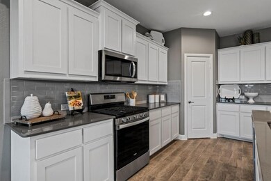 2341 Briscoe Ranch Dr, Hudson Oaks, TX 76087 - photo 5