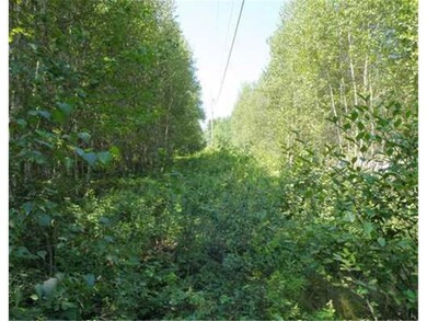 Land/Lot.