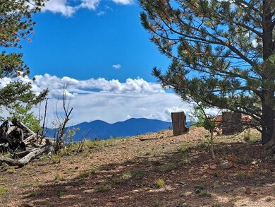 6524 Remington Rd, Como, CO 80456 - photo 5