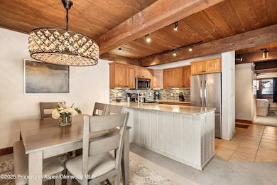 855 Carriage Way unit Slope 309, Snowmass Village, CO 81615 - photo 5