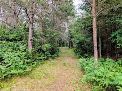 N9268 N Worcester Rd, Phillips, WI 54555 - photo 3