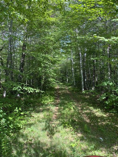 2357 Vt Route 8a, Whitingham, VT 05361 - photo 5