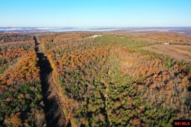 002-04087-000 Chappie Ln, Henderson, AR 72544 - photo 5