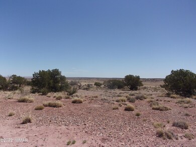 Vacant land May 030