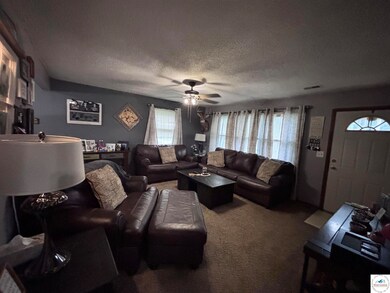 305 W 4th St, Calhoun, MO 65323 - photo 7