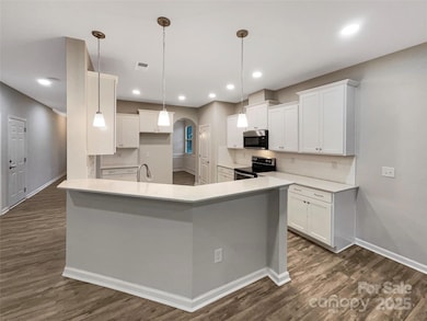 2009 Trindle Vine Ln, Waxhaw, NC 28173 - photo 7