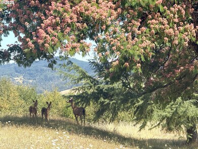 336 Schudeiske Rd, Sutherlin, OR 97479 - photo 3