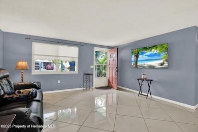 13332 Lisa Dr, Hudson, FL 34667 - photo 3