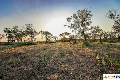 10042 Blanco Springs, Moody, TX 76557 - photo 6