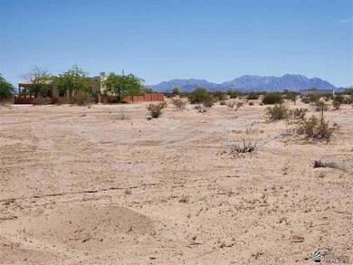 68543036 SW Columbia, Tacna, AZ 85352 - photo 3