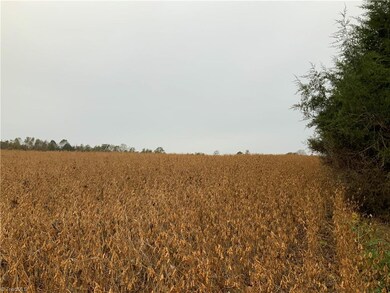 4955 Waynick Meadow Rd, Asheboro, NC 27205 - photo 2