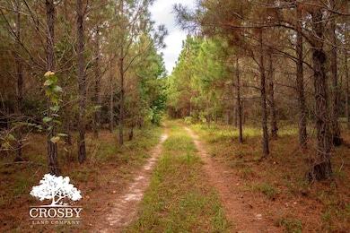 Tbd Thunder Rd, Olar, SC 29843 - photo 2