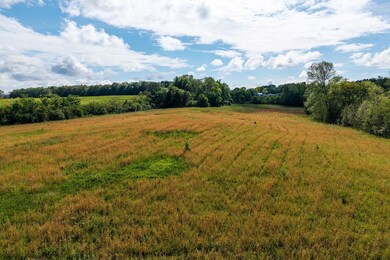 0 C B Johnson Rd, Walling, TN 38587 - photo 3