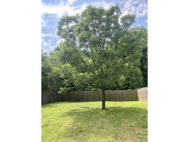 1812 E Millard St, Johnson City, TN 37601 - photo 3