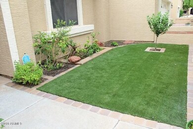 Front yard 2