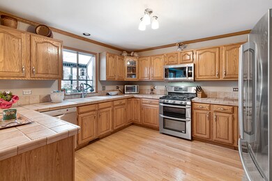 2030 Carlisle St, Algonquin, IL 60102 - photo 7