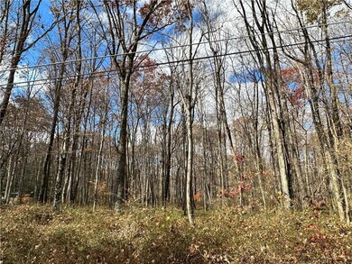 0 Chestnut Lot W076 Dr unit 726492, Towamensing Township, PA 18235 - photo 4