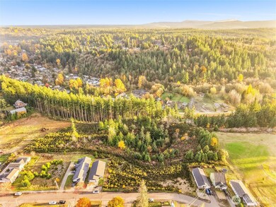 509 W B St, Shelton, WA 98584 - photo 7