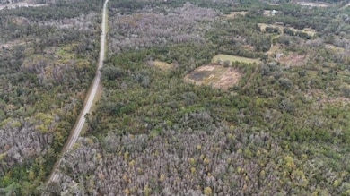 5001 NW Little Cat Rd, Madison, FL 32340 - photo 2