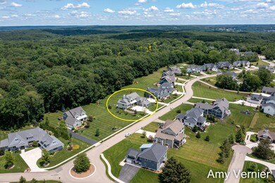 Aerial Neighborhood View