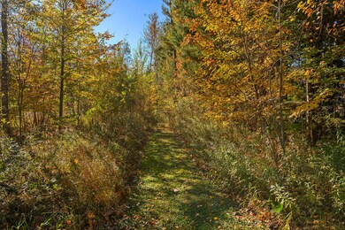 3096 140th Ave, Dorr, MI 49323 - photo 4