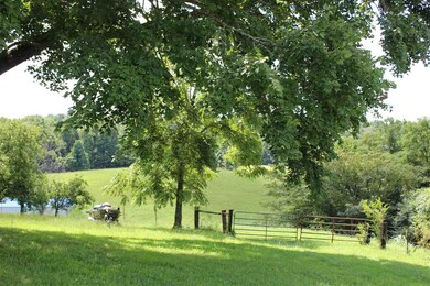 Parcel 40 Odom Rd, Rutledge, TN 37861 - photo 3