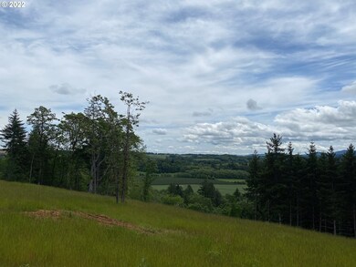 0 Business 18b Hwy unit 22447435, Willamina, OR 97396 - photo 7