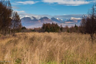 _MG_6146