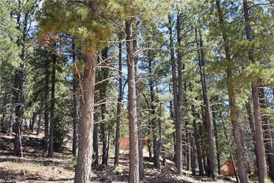 View of local wilderness