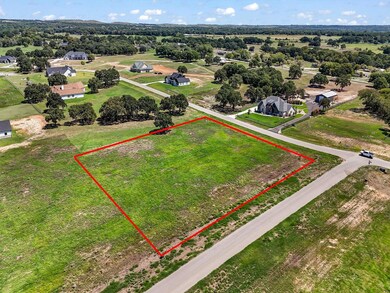 1023 Bluebonnet Ridge, Weatherford, TX 76087 - photo 6