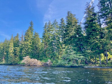 L48 Klawock Lake Rd, Klawock, AK 99925 - photo 3