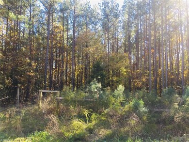 3250 Bethel Lucas Rd, Asheboro, NC 27205 - photo 6