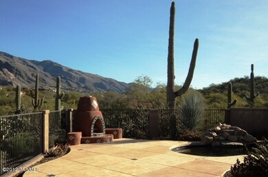 Back Yard View