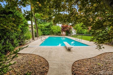 Back Yard In-ground pool.