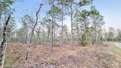 00 SE 130th Ct, Dunnellon, FL 34431 - photo 4